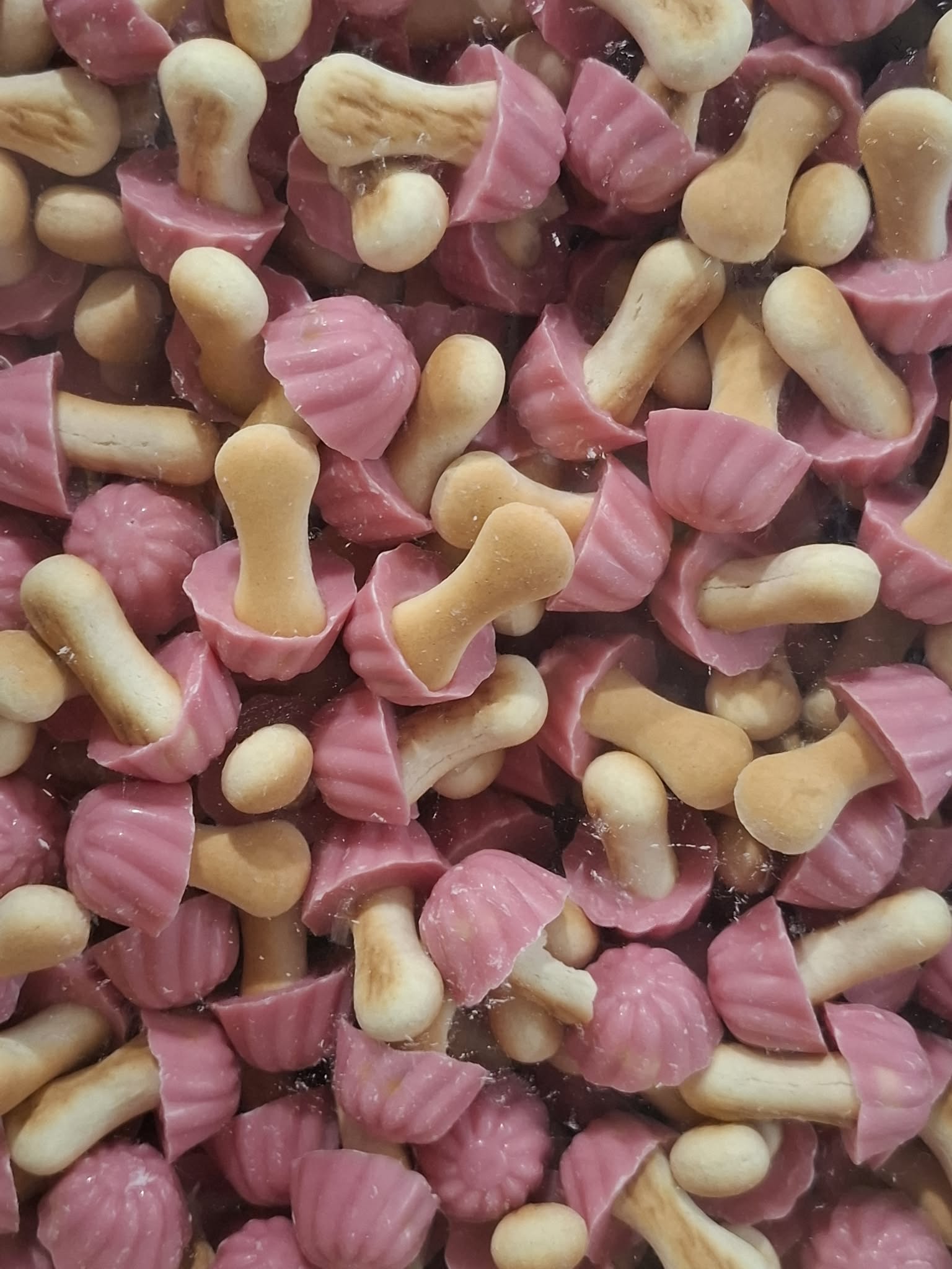 Champignon a la fraise