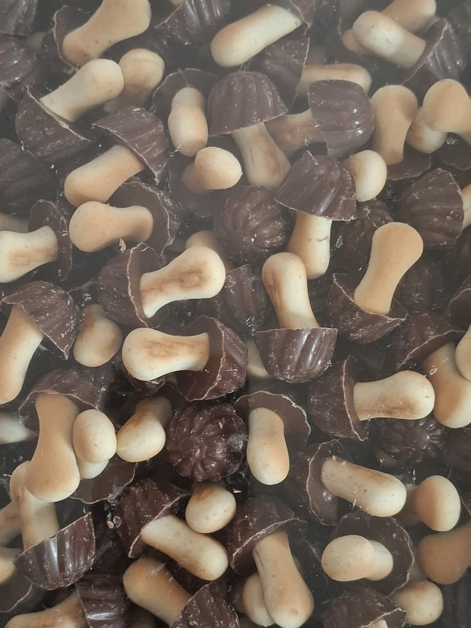 Champignons au chocolat