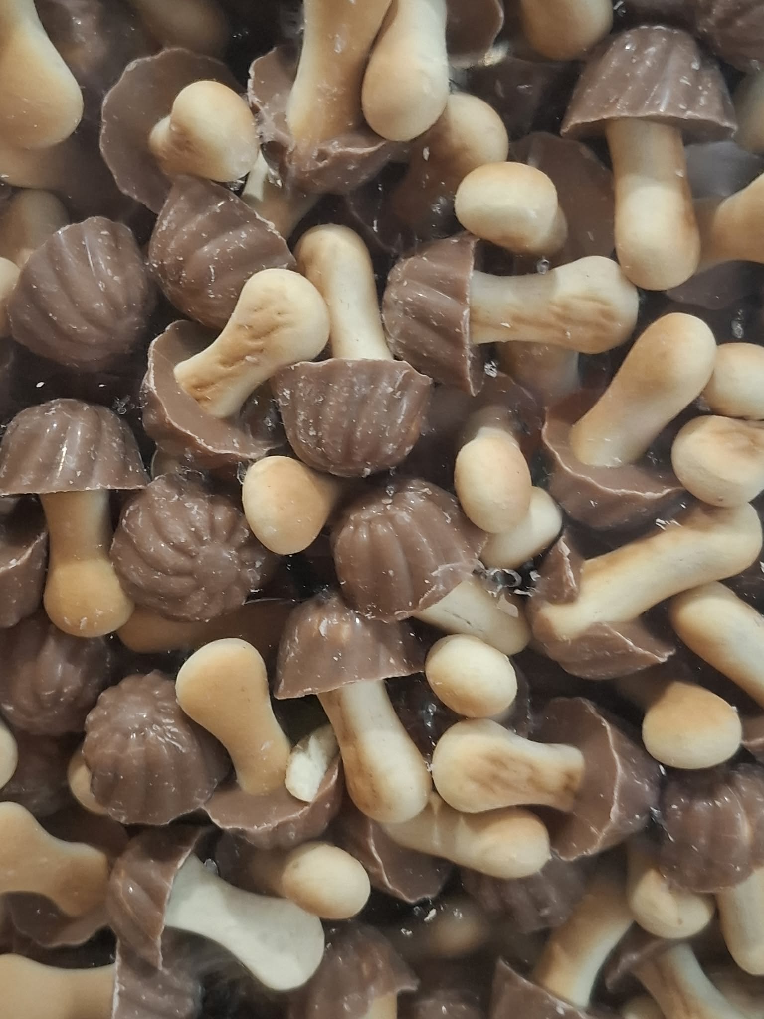 Champignon au caramel