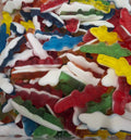 crocodile haribo
