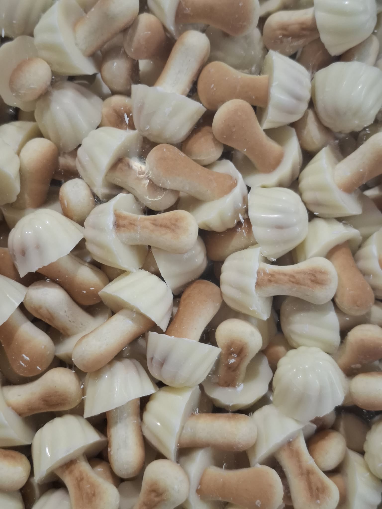 Champignon au chocolat blanc
