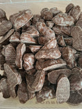 souris caramel